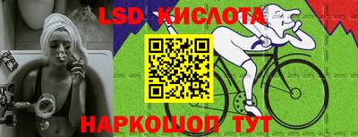 гашик Боровичи