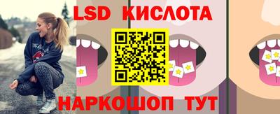 гашик Боровичи