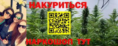гашик Боровичи