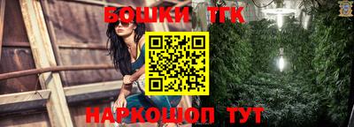 spice Бердск