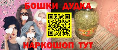 гашик Боровичи