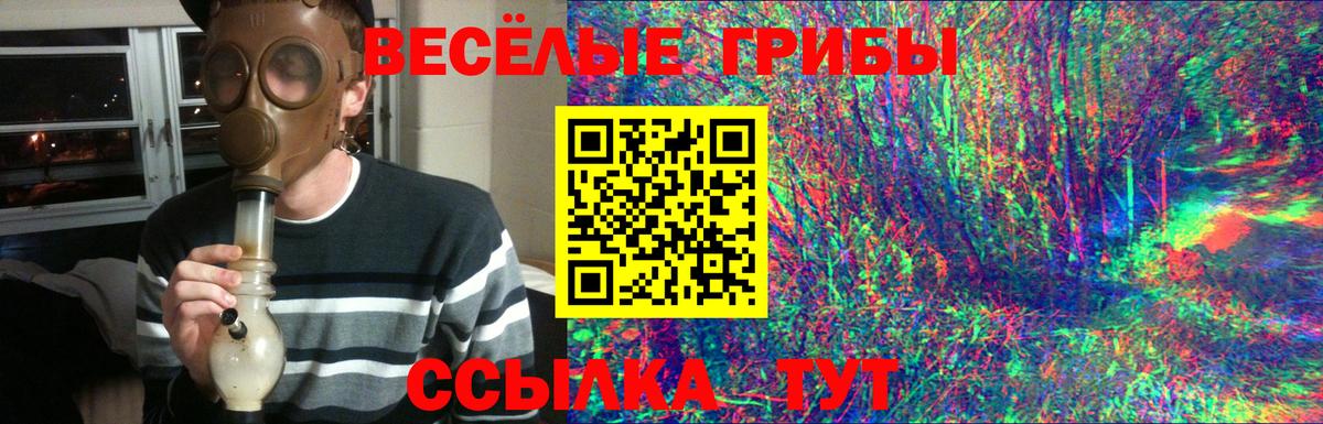 Псилоцибиновые грибы ЛСД  где можно купить   Вход с VPN  Асино  Галлюциногенные грибы мицелий 